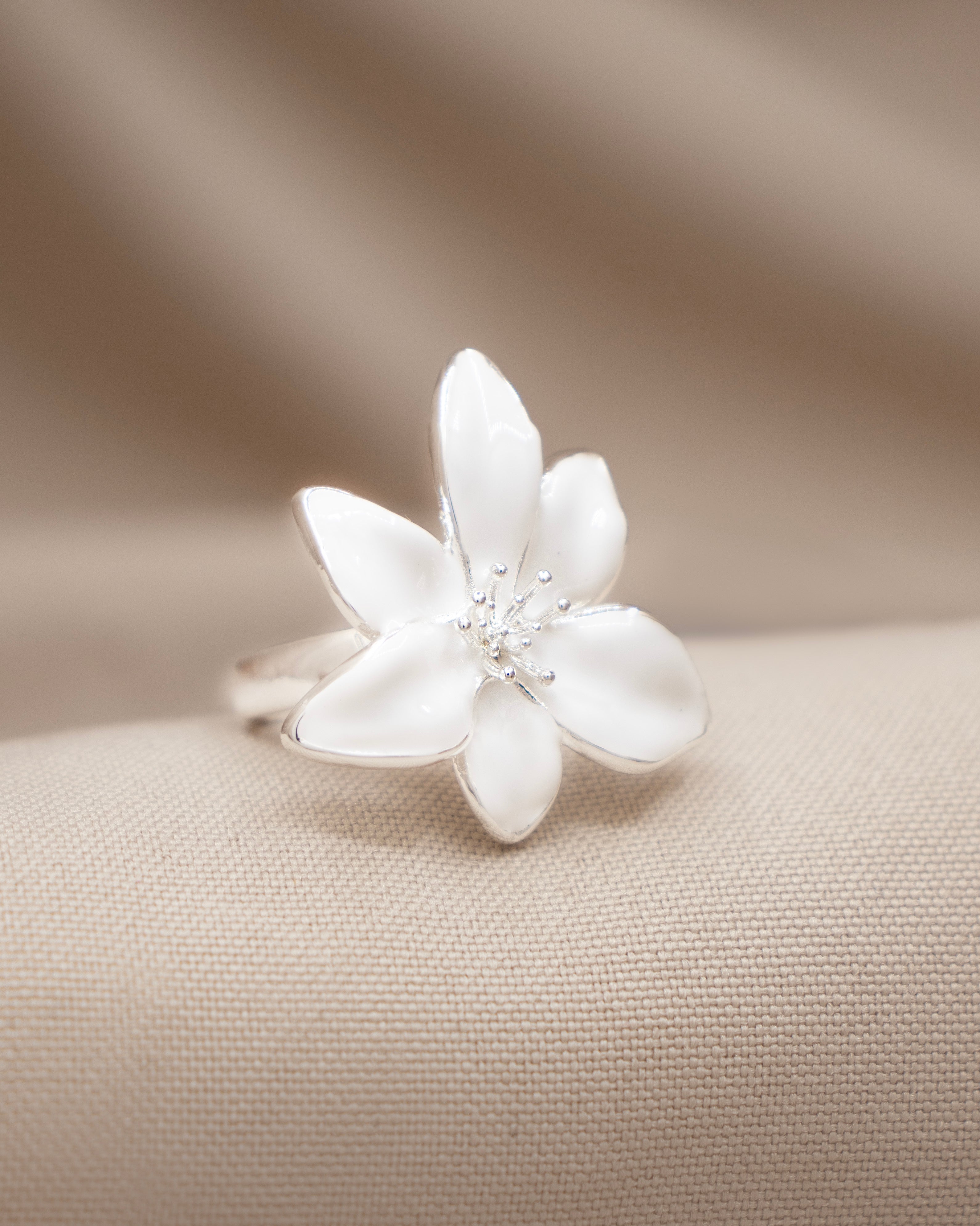 sarahaccesorios.com